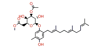 Euplexide G